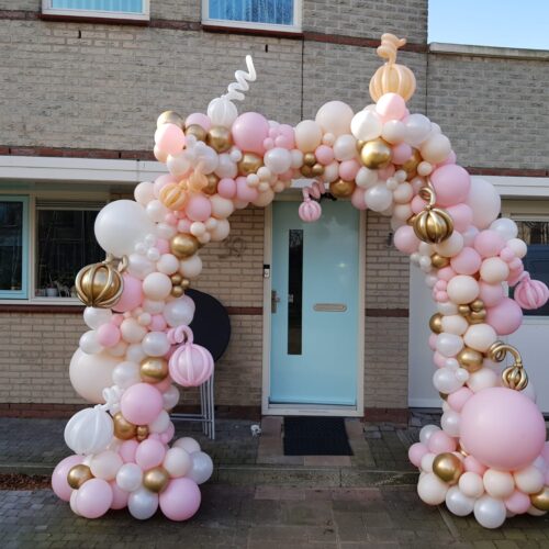 Alternative view of Organic pumpkin boog