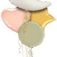 Alternative view of ballonpost