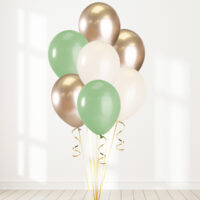 Helium ballon set Eucalyptus-goud-cream